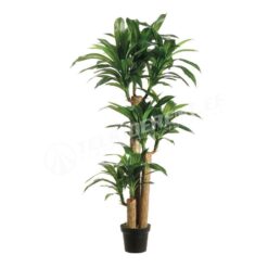Dracaena kunstpuu